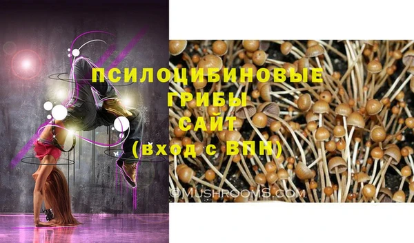 PSILOCYBIN Абаза