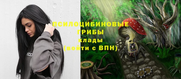 гидра Алзамай