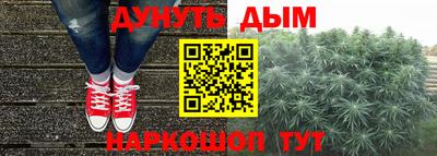 сатива Анжеро-Судженск