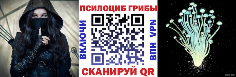 Галлюциногенные грибы Psilocybine cubensis  магазин продажи наркотиков  Морозовск 