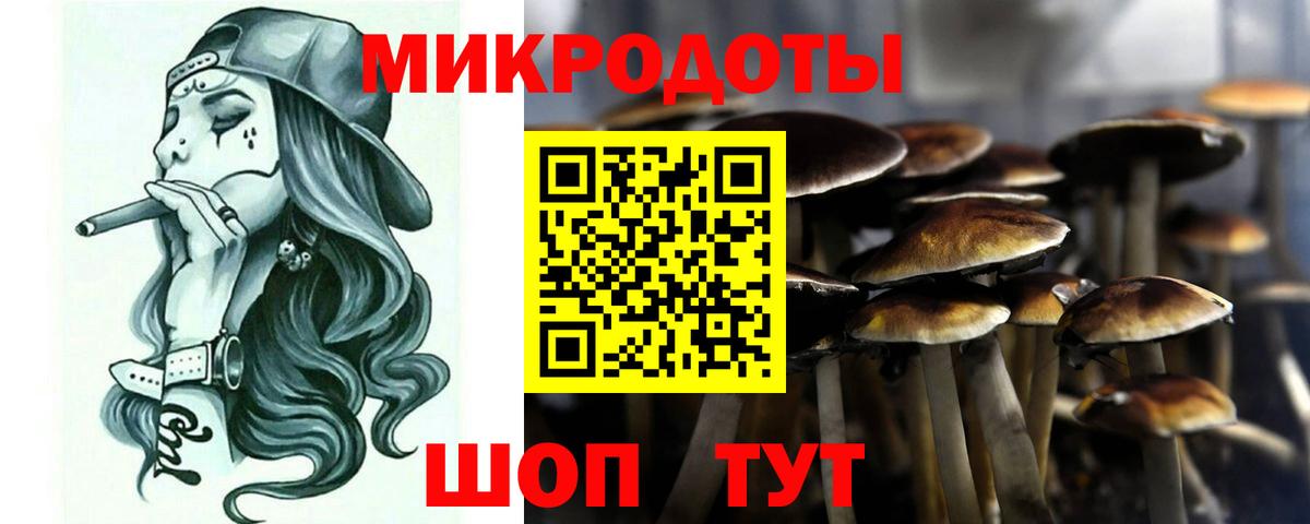 Морозовск  Псилоцибиновые грибы MAGIC MUSHROOMS  Вход с VPN 